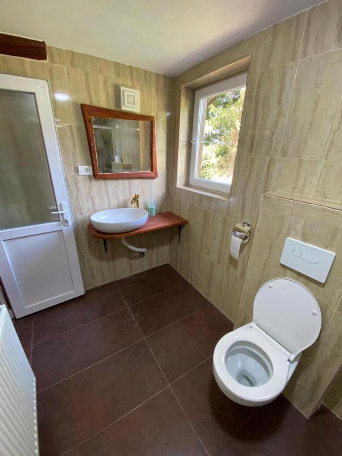 Pensiunea Casa Zmeilor Dragus Экстерьер фото